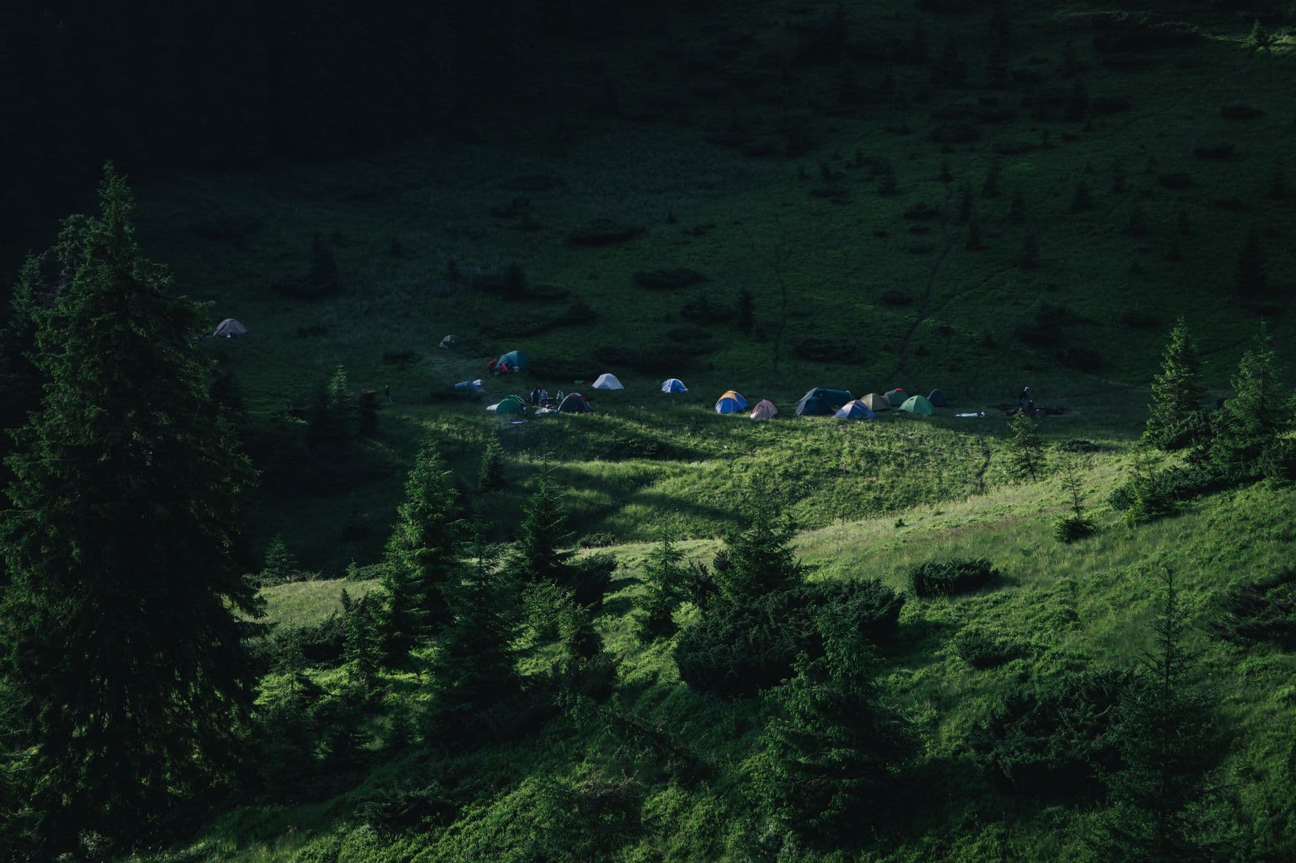 Cedar Ridge Overnight